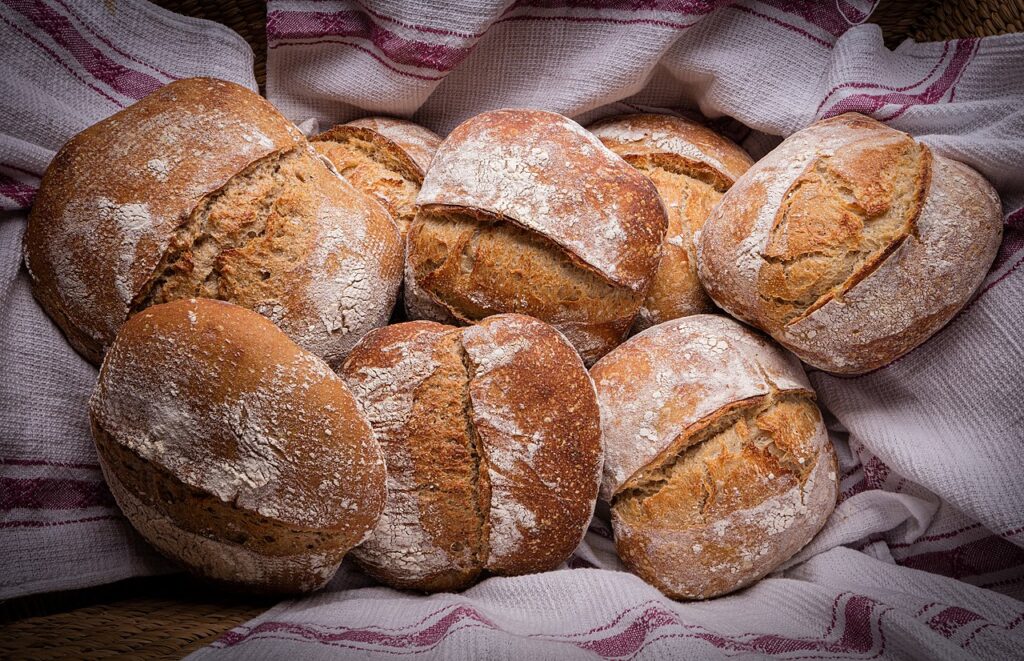 sourdough starter