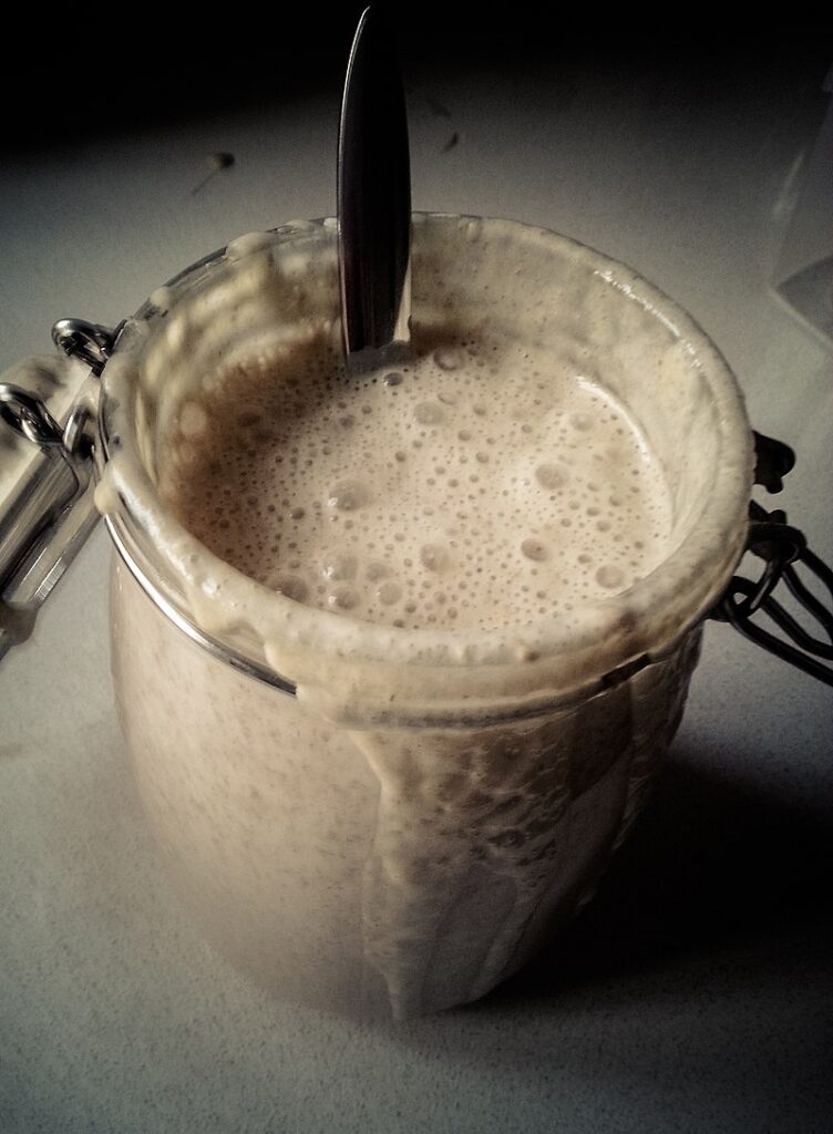 sourdough starter