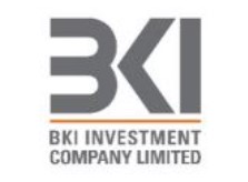 BKI investment company 