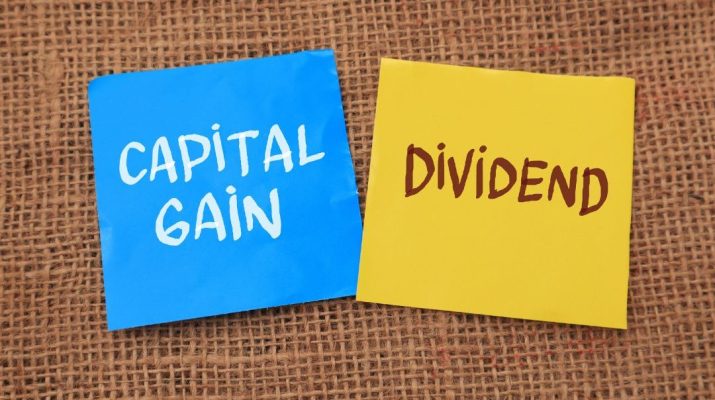 Dividends vs Capital Gains Investing styles
