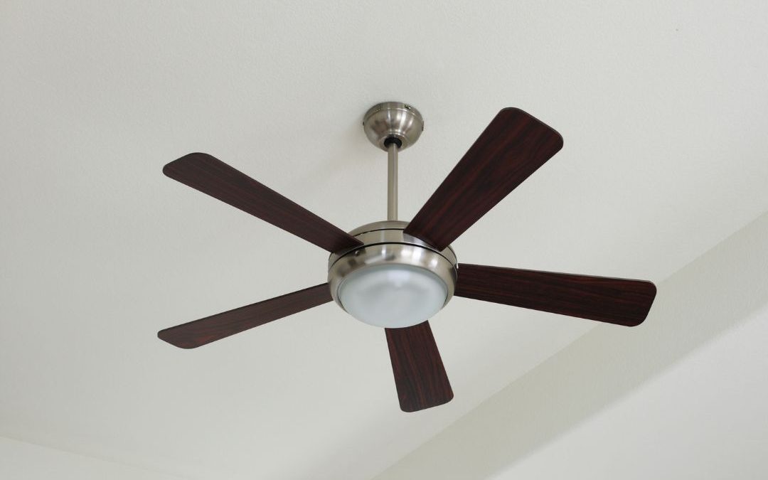 celing fan