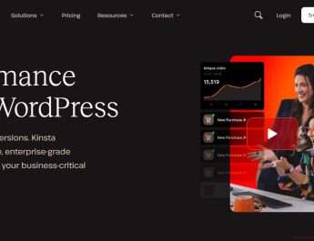 CaptainFI Kinsta Review options